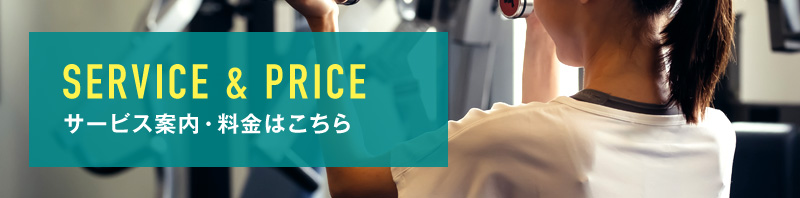 service price