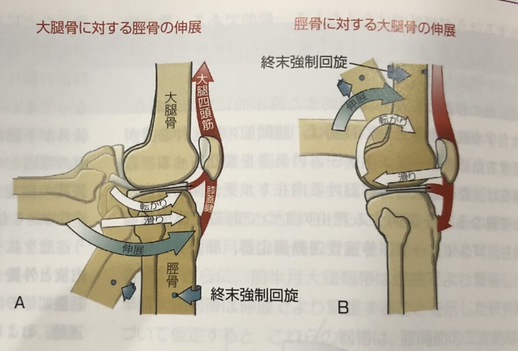 筋骨格系のキネシオロジーの+inforsante.fr